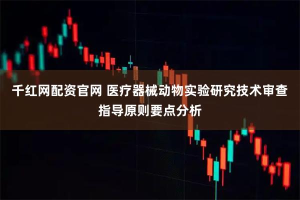 千红网配资官网 医疗器械动物实验研究技术审查指导原则要点分析