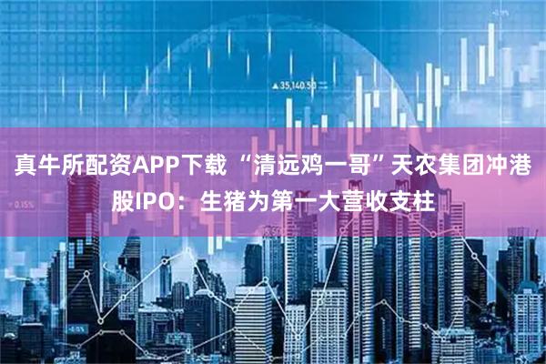 真牛所配资APP下载 “清远鸡一哥”天农集团冲港股IPO：生猪为第一大营收支柱
