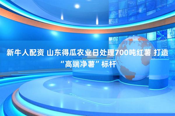 新牛人配资 山东得瓜农业日处理700吨红薯 打造“高端净薯”标杆