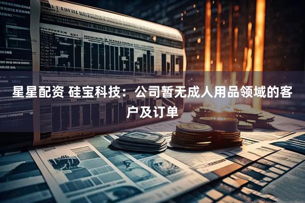 星星配资 硅宝科技：公司暂无成人用品领域的客户及订单