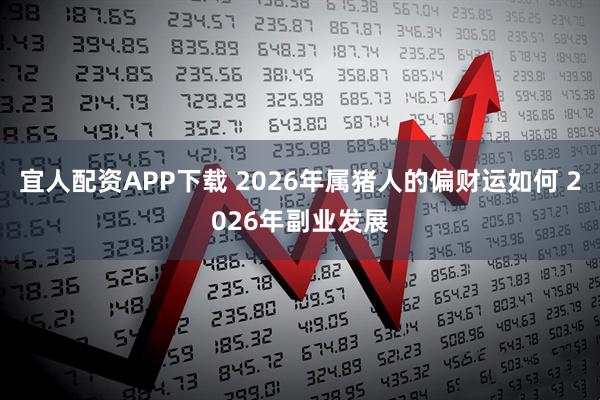 宜人配资APP下载 2026年属猪人的偏财运如何 2026年副业发展